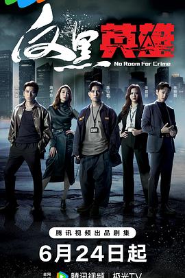 黑龙seo搜索优化方案